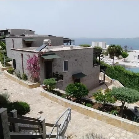 Artemis House