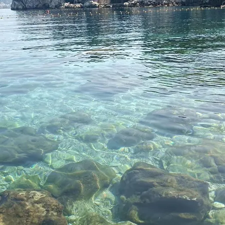 Apartament Artemis House