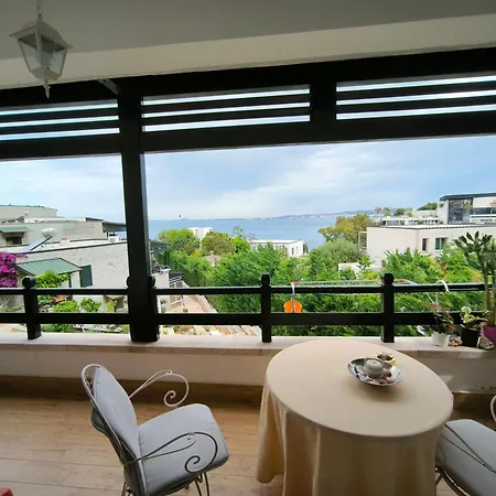 Artemis House
