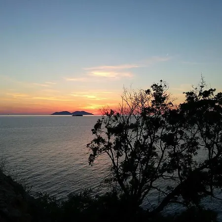 Apartament Artemis House