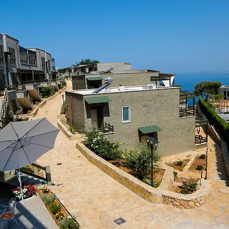 Artemis House * Wlora