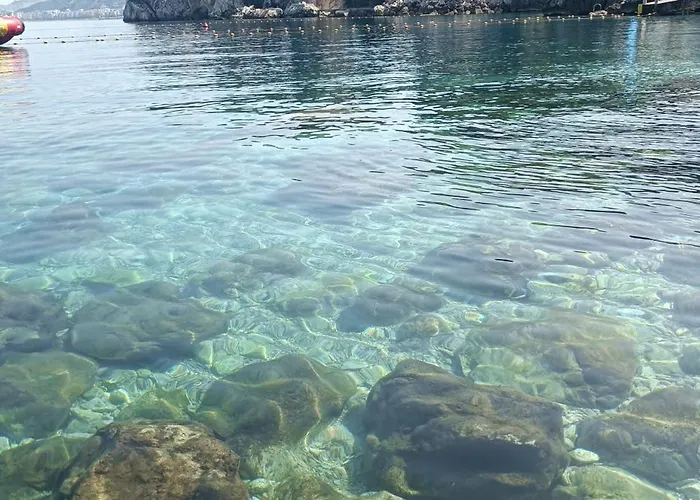 Διαμέρισμα Artemis House