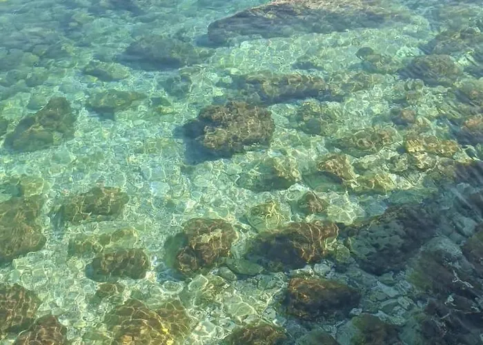 Artemis House Vlorë