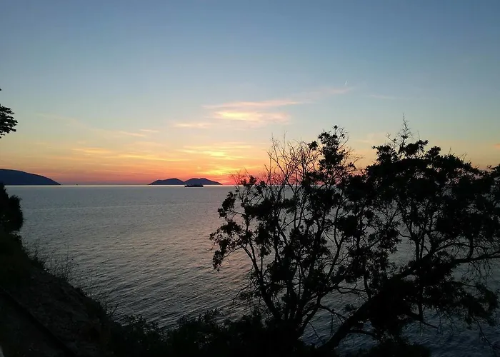 Apartment Artemis House