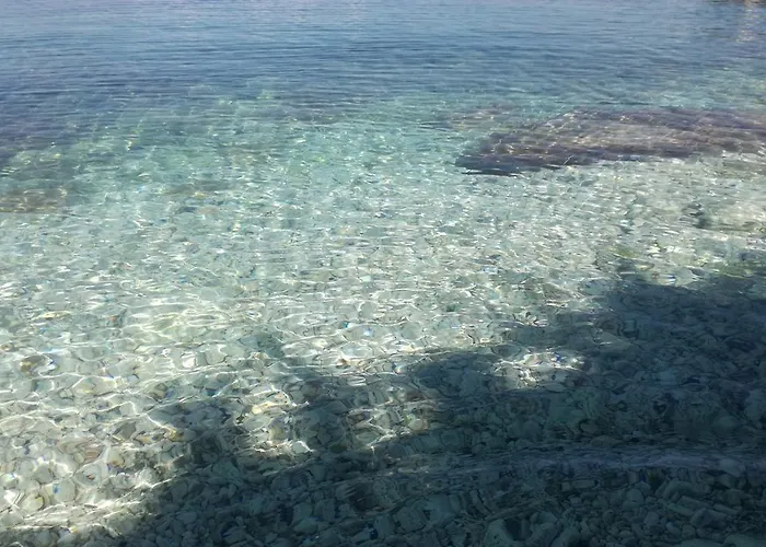 Διαμέρισμα Artemis House Vlorë